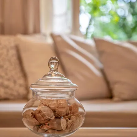 Gasthuis Teacher's House 4*